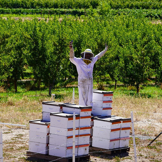 Local Stone Fruit Raw Honey Large