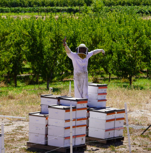 Local Stone Fruit Raw Honey Pouch