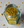 Bee Pollen