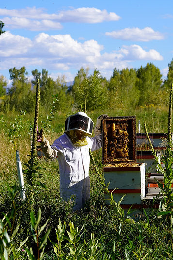 Bee Pollen