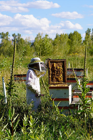 Wildflower Raw Honey Pouch