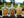 Local Stone Fruit Raw Honey Pouches (5 Pack)