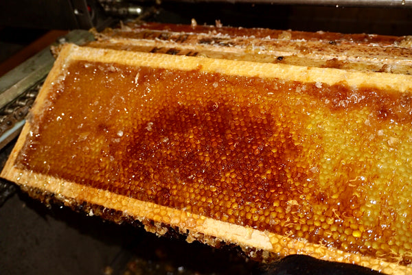 Stone Fruit Raw Honey