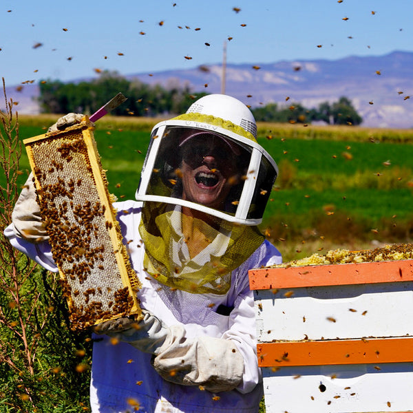 Mini Bear Limited Raw Honey